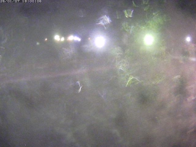 日野川１１2026/01/08 4:20:00