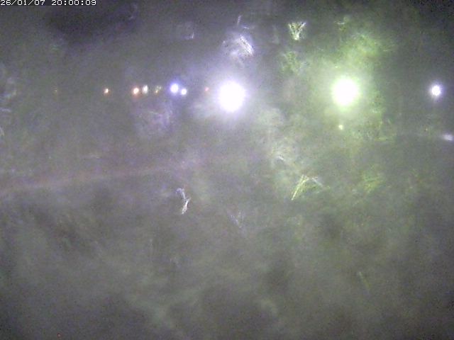 日野川１１2026/01/08 4:20:00