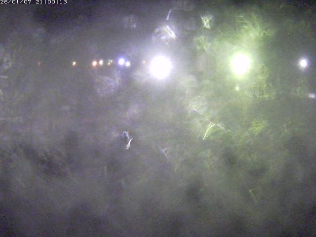 日野川１１2026/01/08 4:20:00