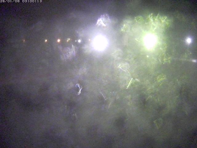 日野川１１2026/01/08 4:20:00