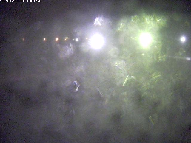 日野川１１2026/01/08 4:20:00