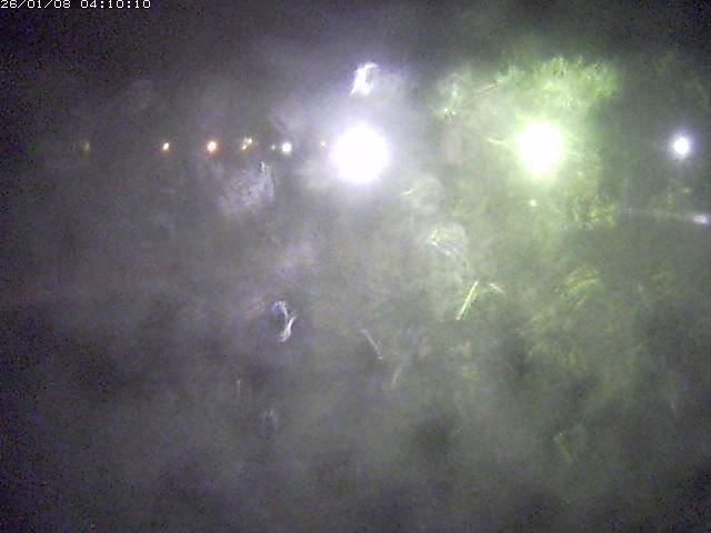 日野川１１2026/01/08 4:20:00