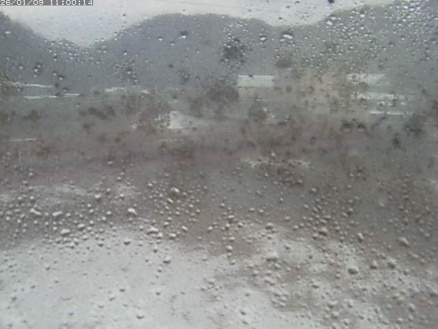 日野川１１2026/01/09 21:50:00