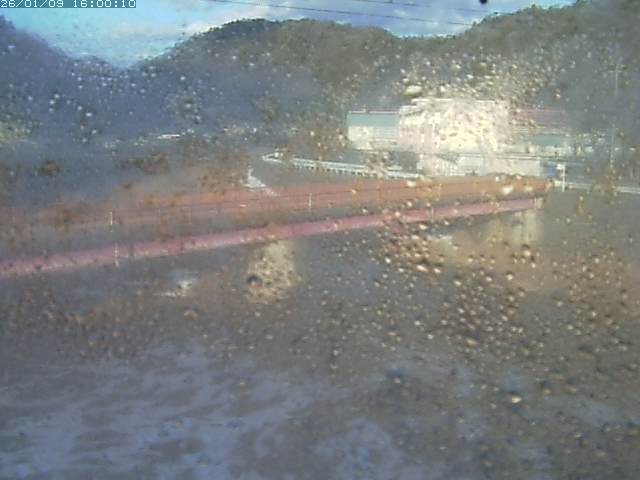 日野川１１2026/01/09 21:50:00