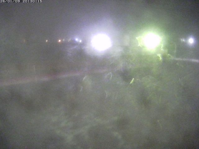 日野川１１2026/01/09 21:50:00