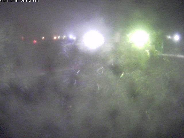 日野川１１2026/01/09 21:50:00