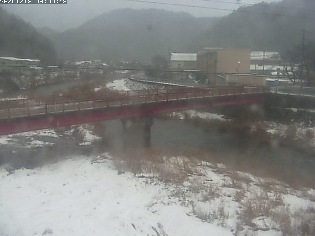 日野川１１2026/01/14 4:00:00