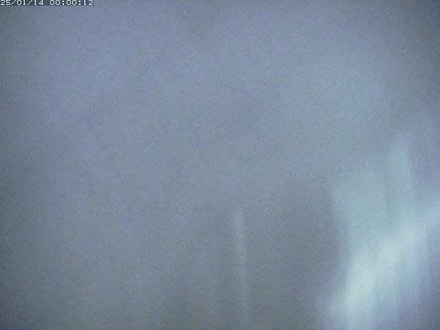 日野川１１2026/01/14 4:00:00