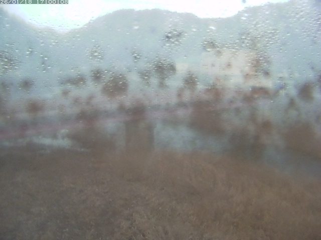 日野川１１2026/01/18 18:10:00