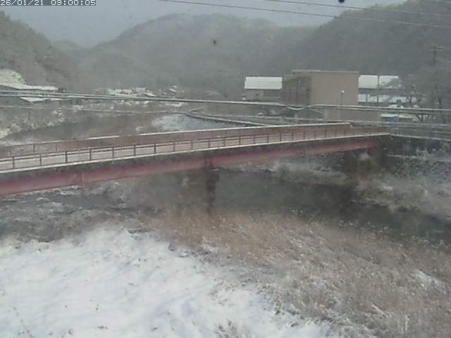 日野川１１2026/01/21 18:30:00