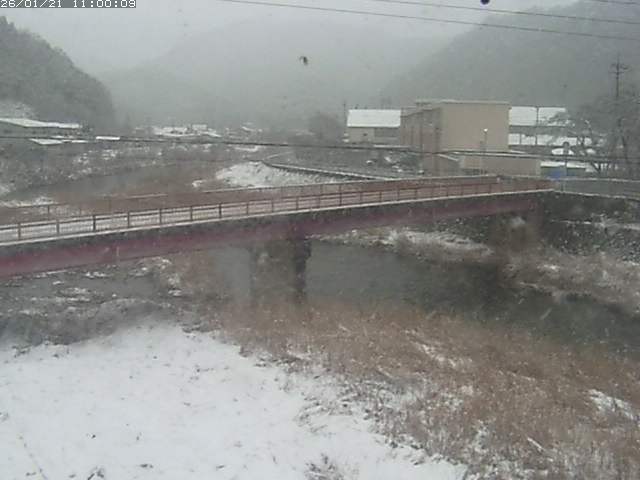 日野川１１2026/01/21 18:30:00