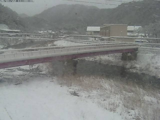 日野川１１2026/01/22 20:30:00