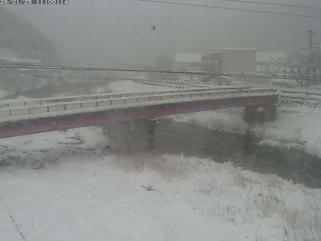 日野川１１2026/01/25 21:10:00