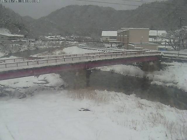 日野川１１2026/01/25 21:10:00