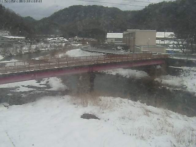 日野川１１2026/01/28 14:00:00