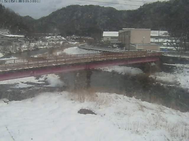日野川１１2026/01/28 14:00:00