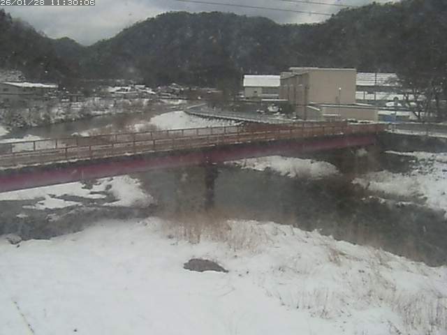 日野川１１2026/01/28 14:00:00