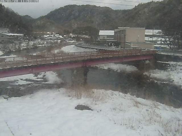 日野川１１2026/01/28 14:00:00