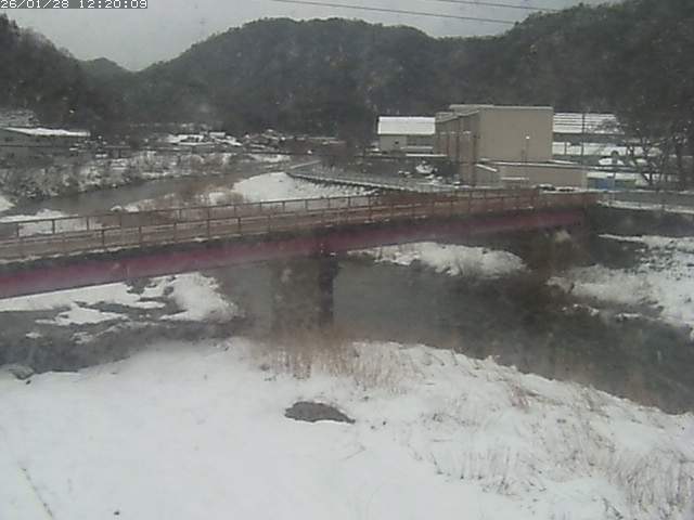 日野川１１2026/01/28 14:00:00