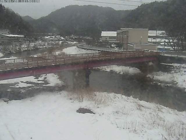 日野川１１2026/01/28 14:00:00