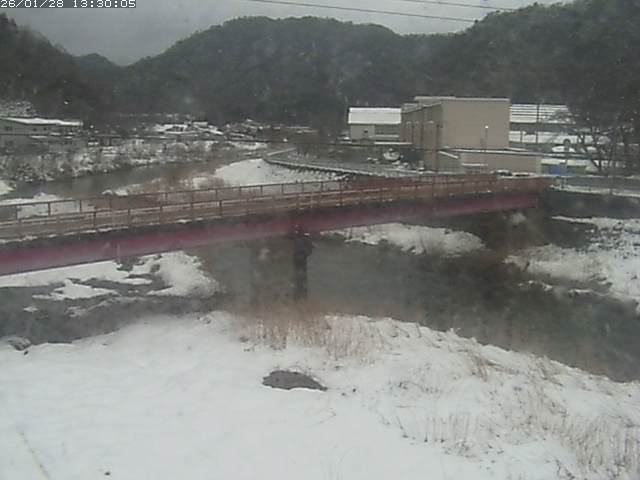 日野川１１2026/01/28 14:00:00
