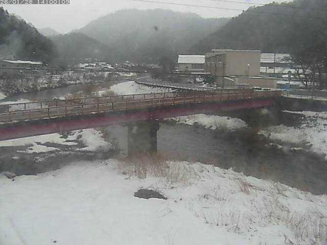 日野川１１2026/01/28 14:00:00