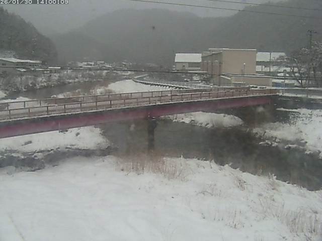 日野川１１2026/01/31 14:40:00