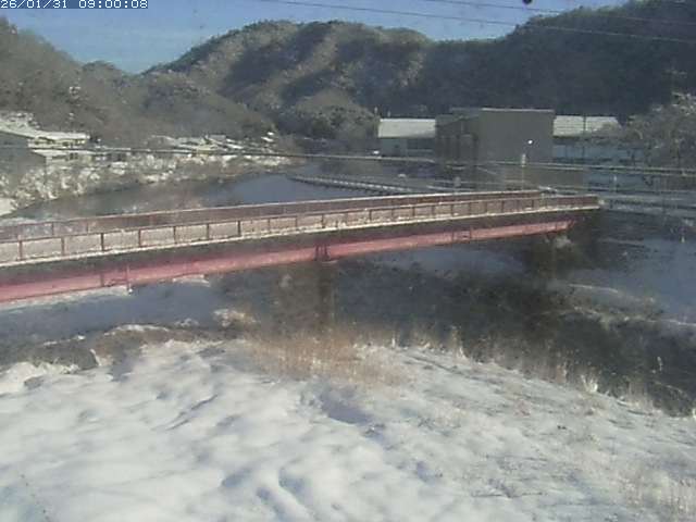 日野川１１2026/01/31 14:40:00