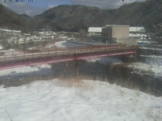 日野川１１2026/01/31 14:40:00