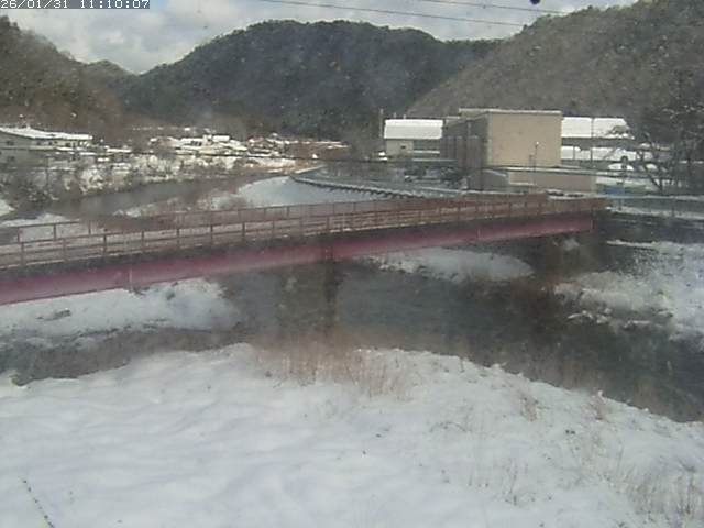 日野川１１2026/01/31 14:40:00