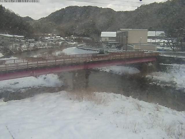 日野川１１2026/01/31 14:40:00