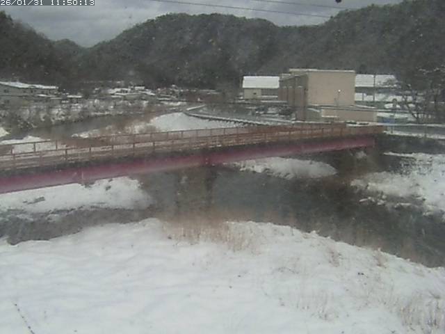 日野川１１2026/01/31 14:40:00