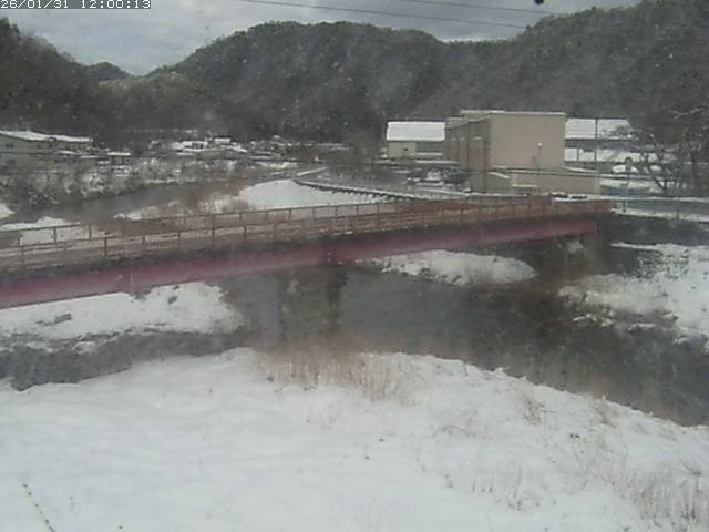 日野川１１2026/01/31 14:40:00