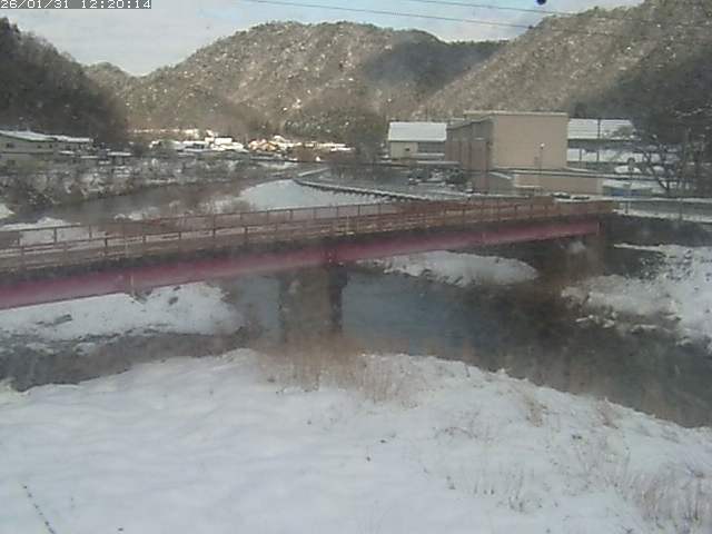 日野川１１2026/01/31 14:40:00