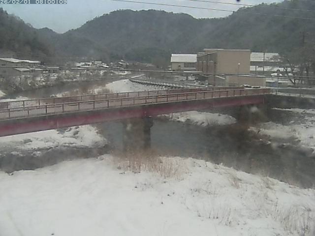 日野川１１2026/02/01 17:40:00