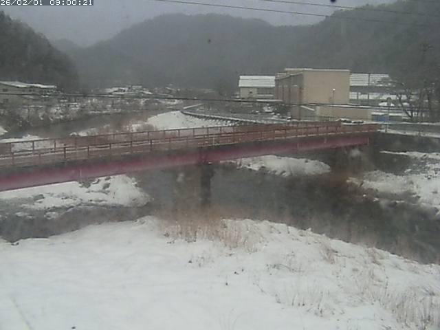 日野川１１2026/02/01 17:40:00