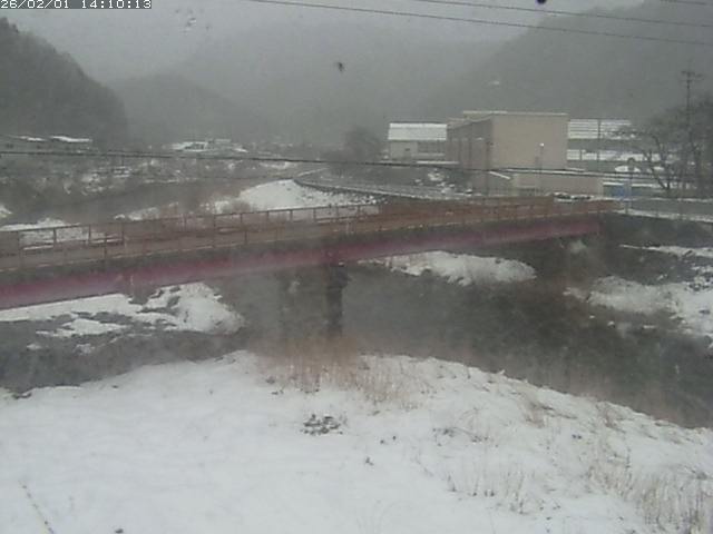 日野川１１2026/02/01 17:40:00