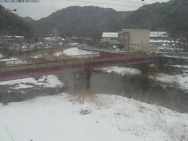 日野川１１2026/02/01 17:40:00