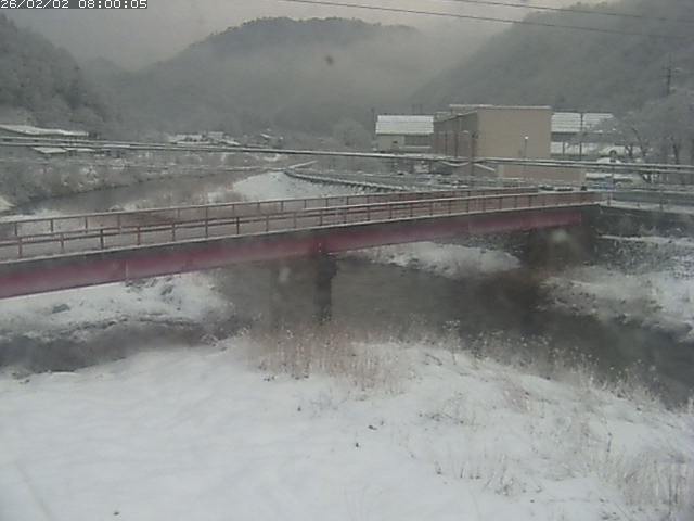 日野川１１2026/02/03 7:00:00