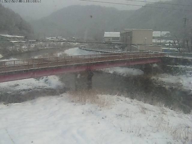 日野川１１2026/02/03 7:00:00