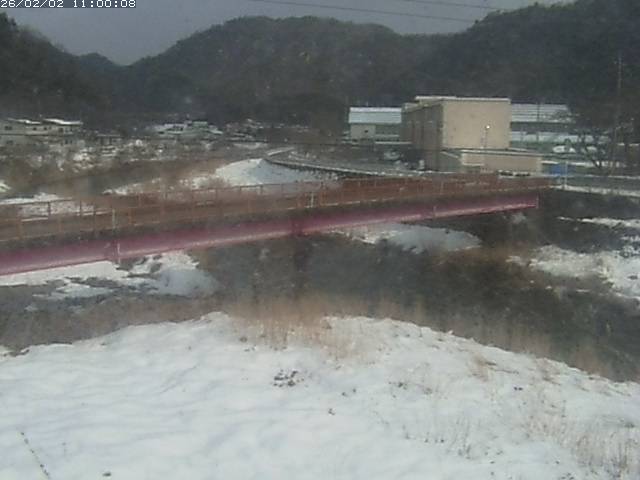 日野川１１2026/02/03 7:00:00