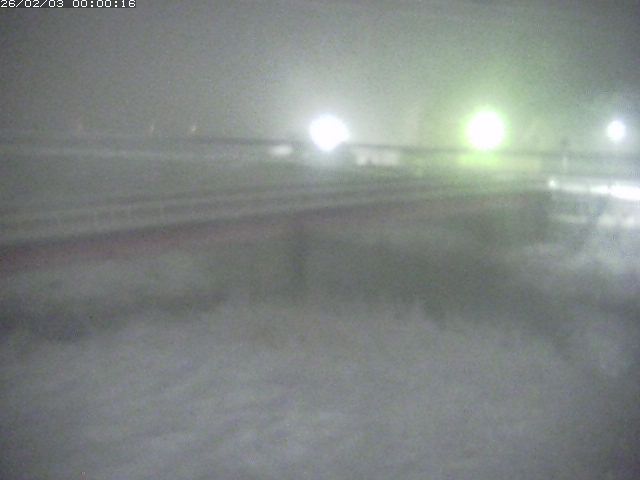 日野川１１2026/02/03 7:00:00