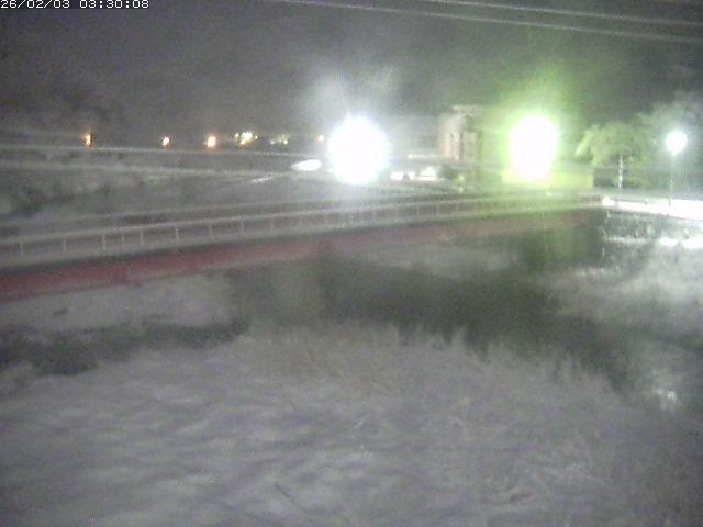 日野川１１2026/02/03 7:00:00