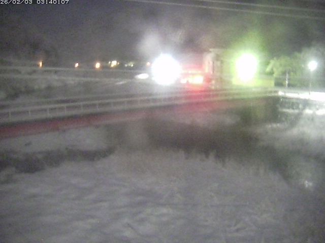 日野川１１2026/02/03 7:00:00