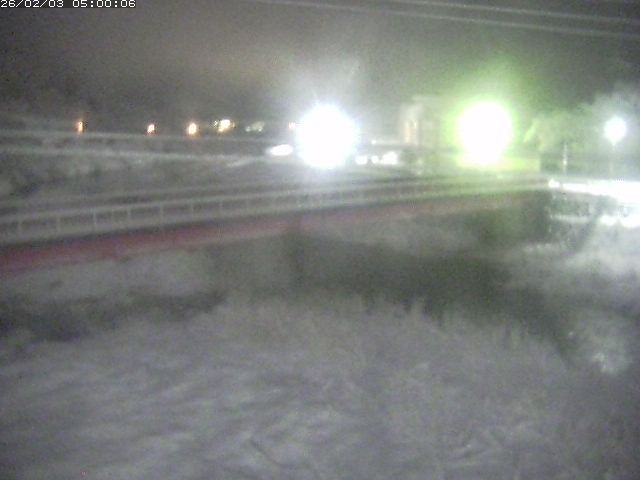 日野川１１2026/02/03 7:00:00