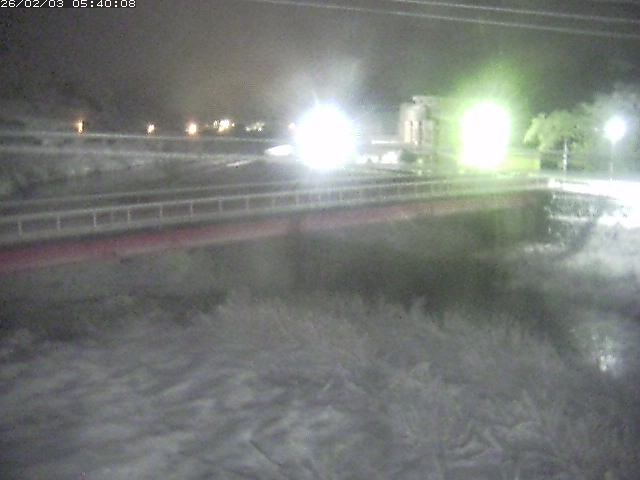 日野川１１2026/02/03 7:00:00