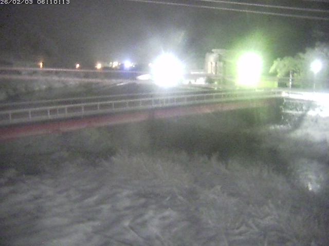 日野川１１2026/02/03 7:00:00