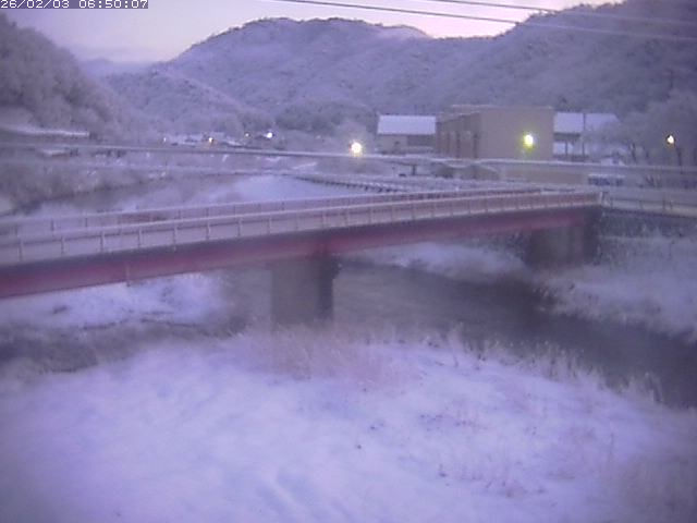 日野川１１2026/02/03 7:00:00