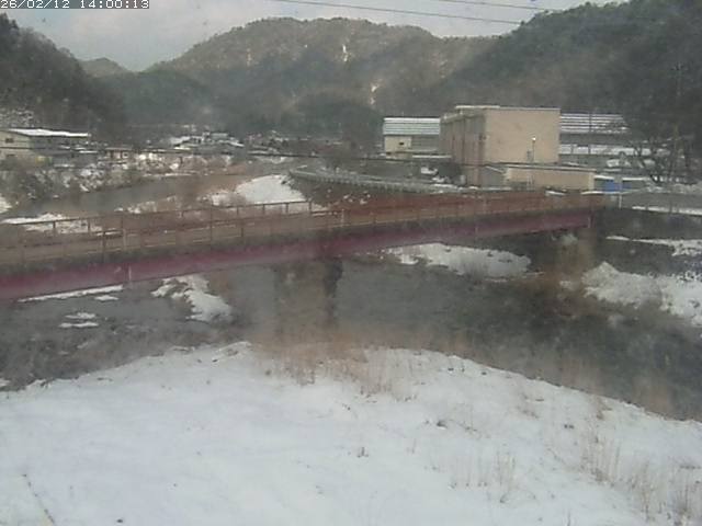 日野川１１2026/02/13 11:20:00