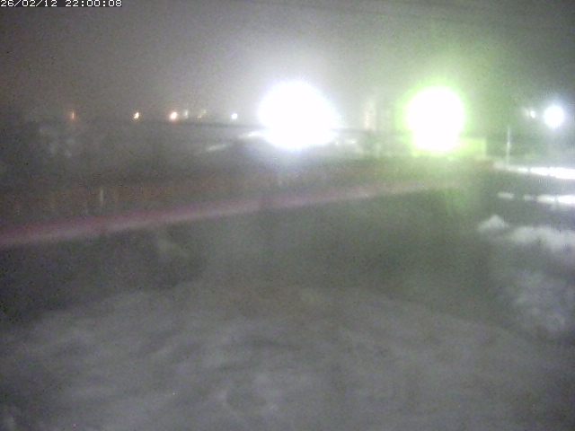 日野川１１2026/02/13 11:20:00